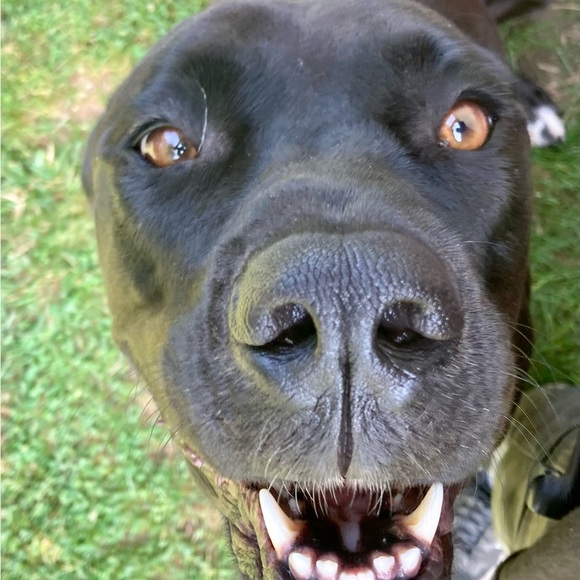 Meet your Posher, Jon - Picture 8 of 11